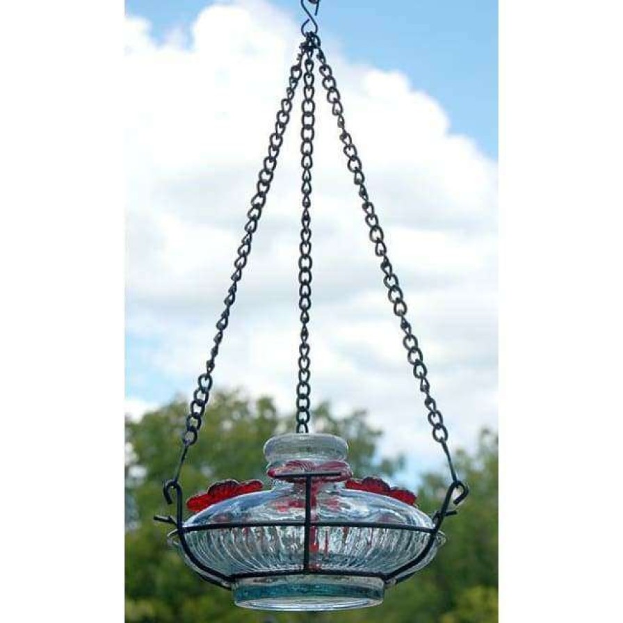 * Parasol Bloom Hummingbird Feeder With Perch, Clear Hummingbird Feeders | Bird Feeders