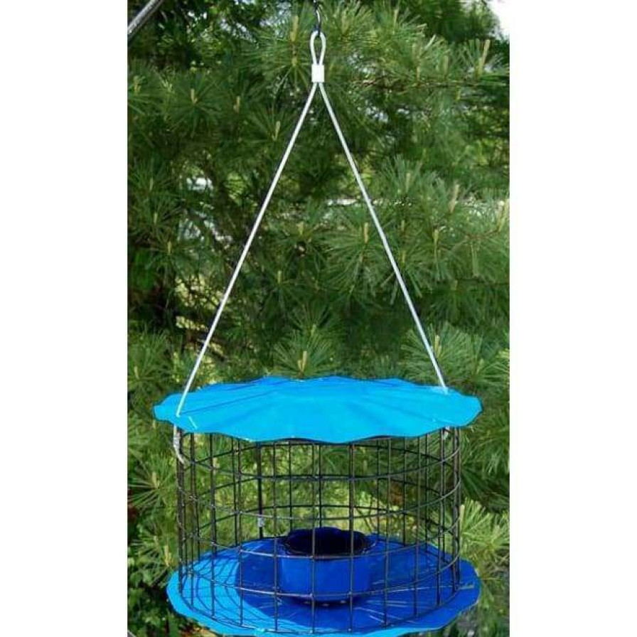 * Erva Tool & Die Caged Blue Bluebird Feeder Hanging Feeders | Bird Feeders