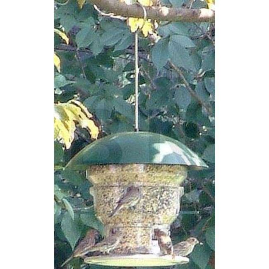 * Wild Bills Feeding Frenzy High Capacity Bird Feeder | Bird Feeders