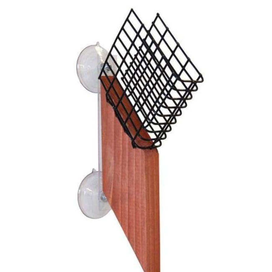 * Looker Products Window Suet Feeder With Tail Prop Suet Feeders | Bird Feeders