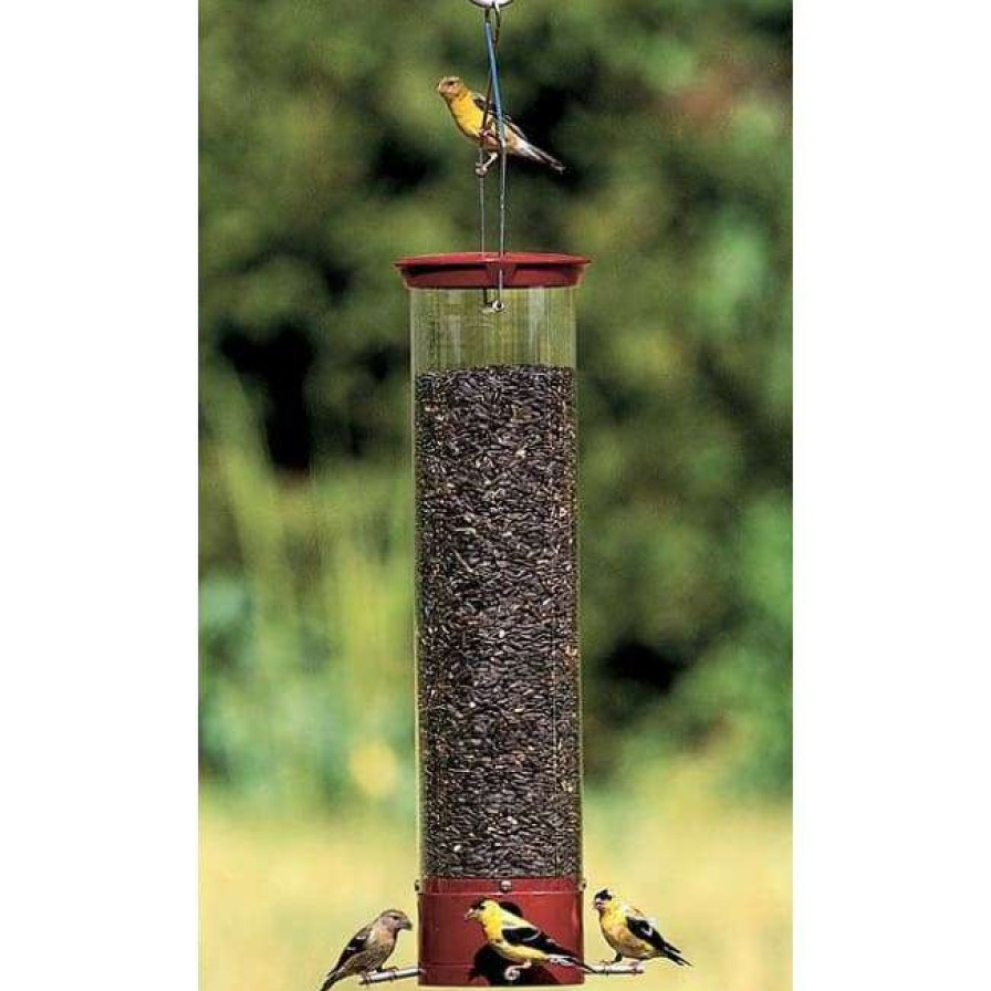 * Droll Yankees Hanging Feeders Yankee Dipper Squirrel Proof Bird Feeder | Bird Feeders