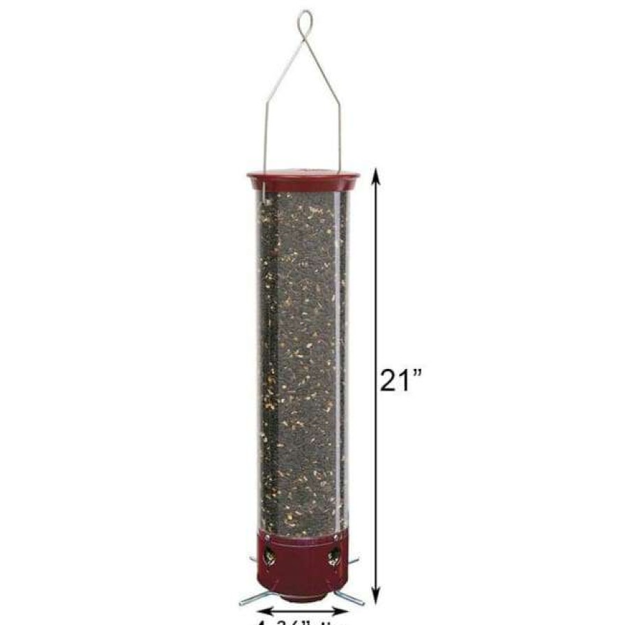 * Droll Yankees Hanging Feeders Yankee Dipper Squirrel Proof Bird Feeder | Bird Feeders