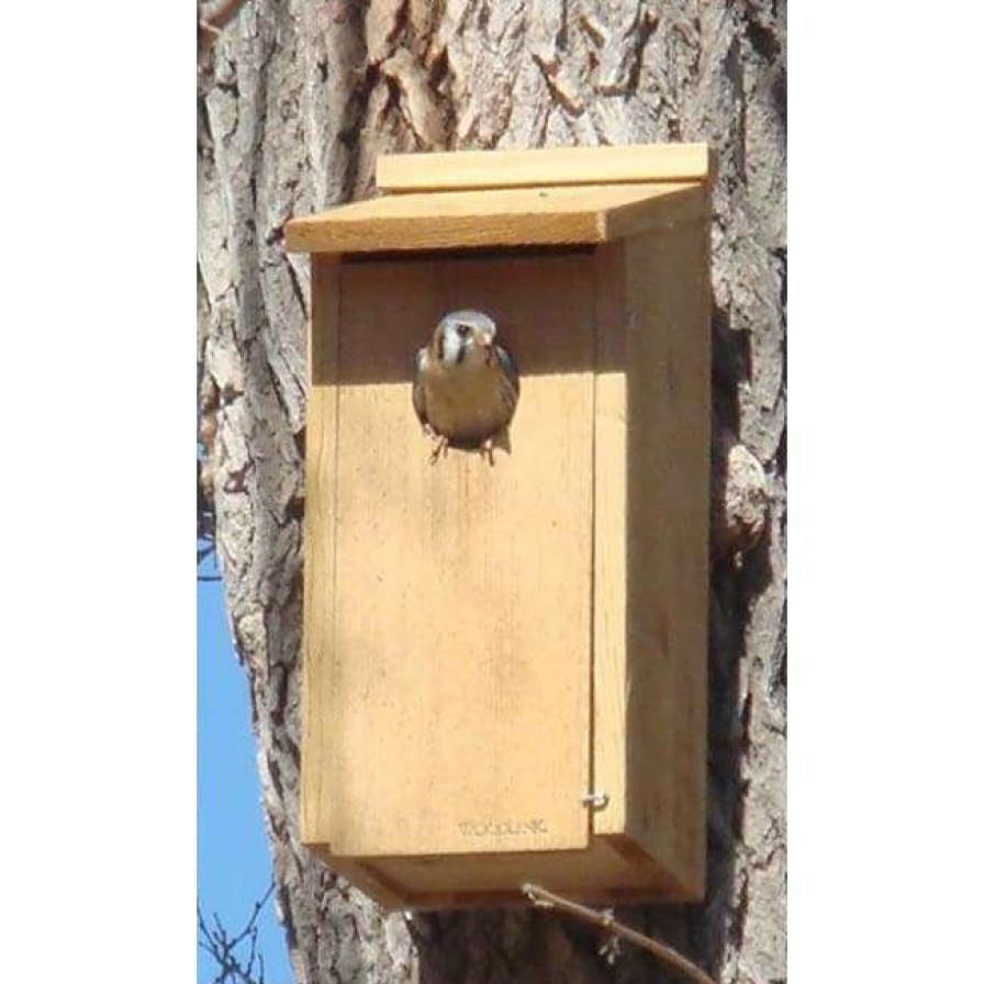 * Woodlink Kestrel And Screech Owl House | Bird Houses