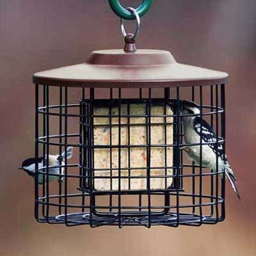 * Stokes Select Cage Feeders Caged Double Suet Feeder, Brown | Bird Feeders