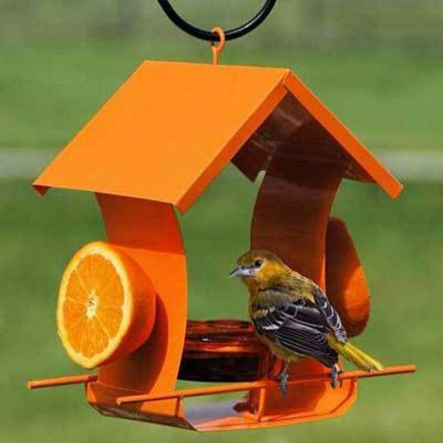 * Woodlink Hanging Feeders Orange Metal Six Station Oriole Feeder | Bird Feeders