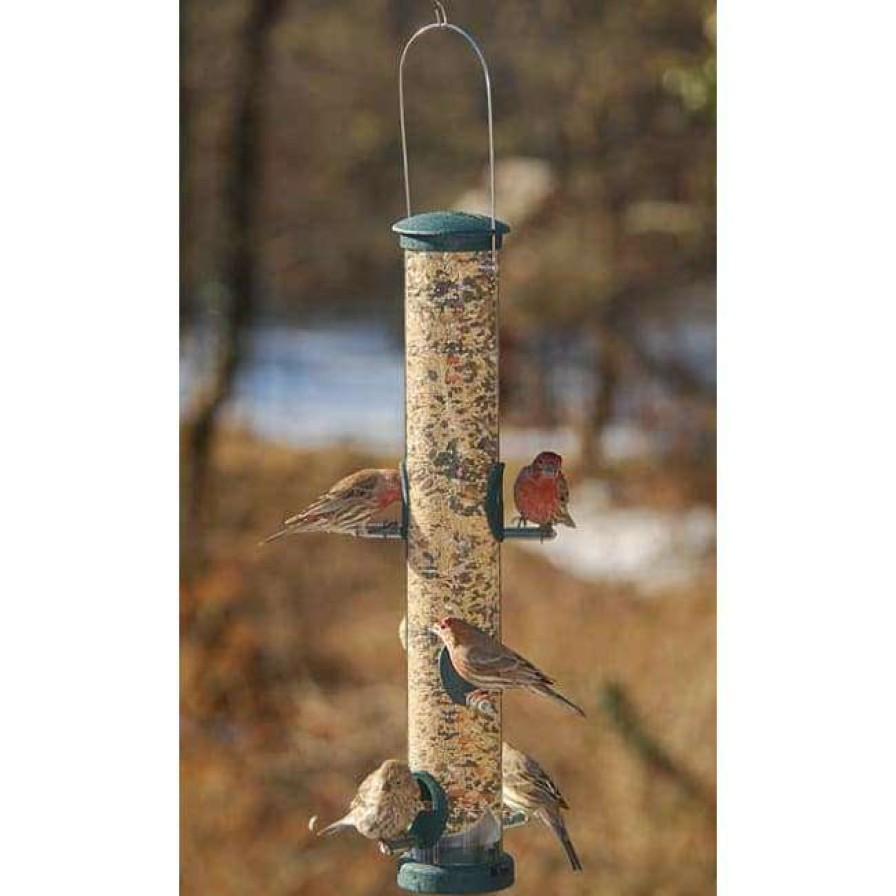 * Aspects Hanging Feeders Quick-Clean Seed Tube Bird Feeder, Large Spruce | Bird Feeders