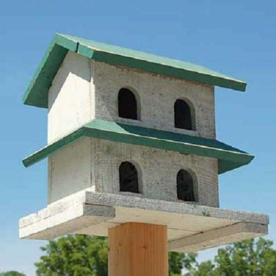 * Bird In Hand Hanover Purple Martin House With 4-Rooms Post / Pole Mounted Houses | Bird Houses