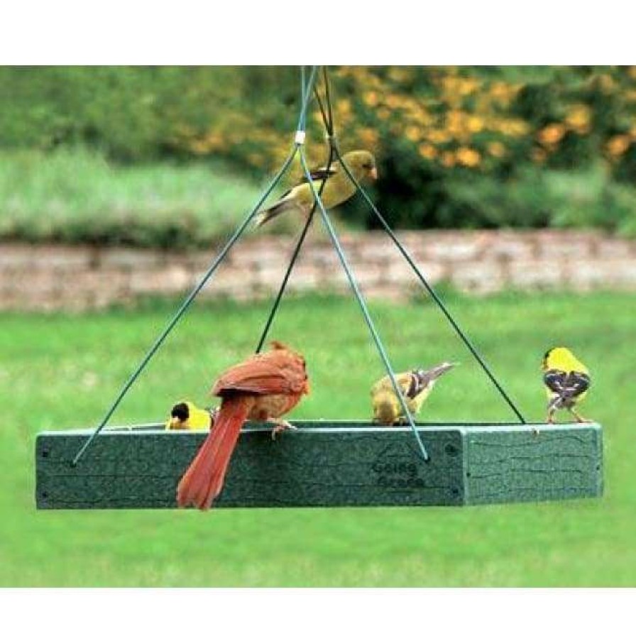 * Woodlink Hanging Feeders Audubon Recycled Plastic Platform Bird Feeder | Bird Feeders