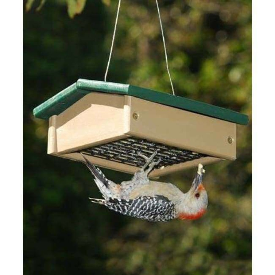 * Songbird Essentials Upside-Down Green/Brown Suet Feeder Hanging Feeders | Bird Feeders