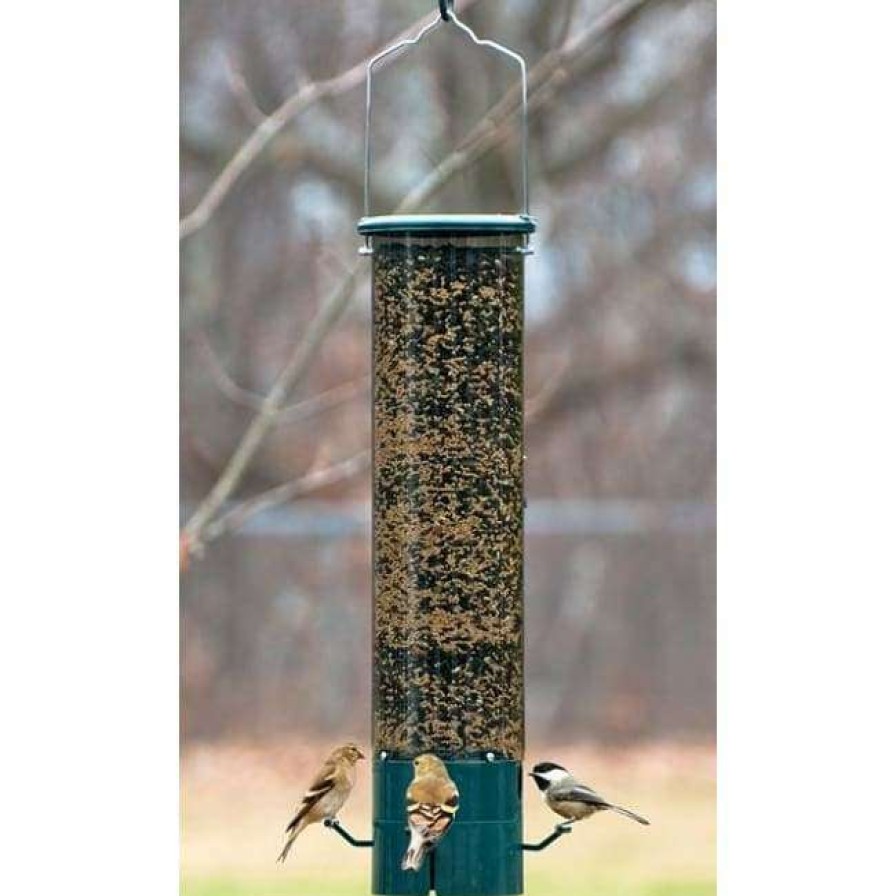 * Heritage Farms Hanging Feeders Magnet Squirrel Resistant Bird Feeder | Bird Feeders