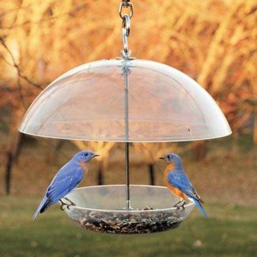 * Woodlink Audubon Domed Wild Bird Feeder Hanging Feeders | Bird Feeders