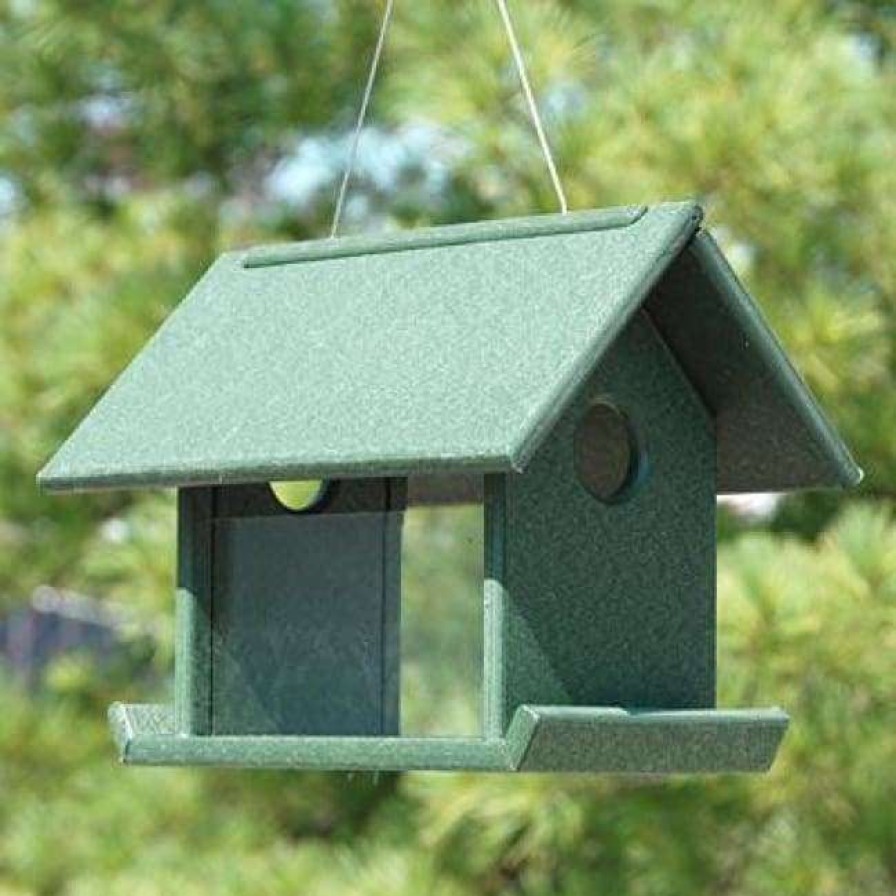 * Songbird Essentials Mealworm Bird Feeder, Hunter Green | Bird Feeders