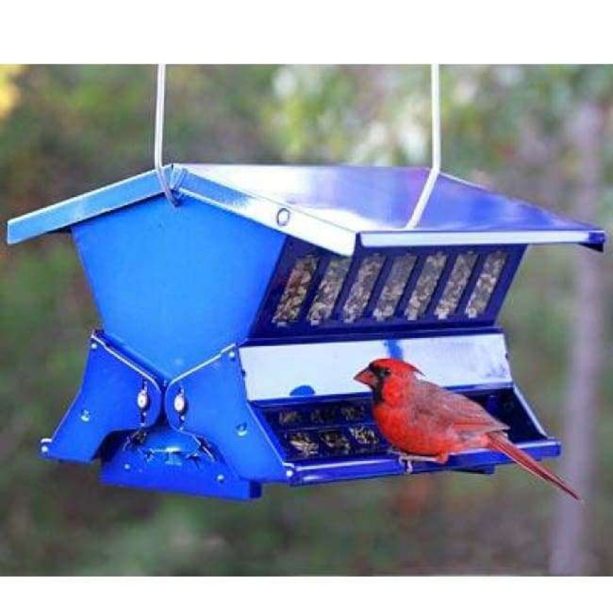 * Heritage Farms Double Sided Absolute Ii Electric Blue Bird Feeder | Bird Feeders