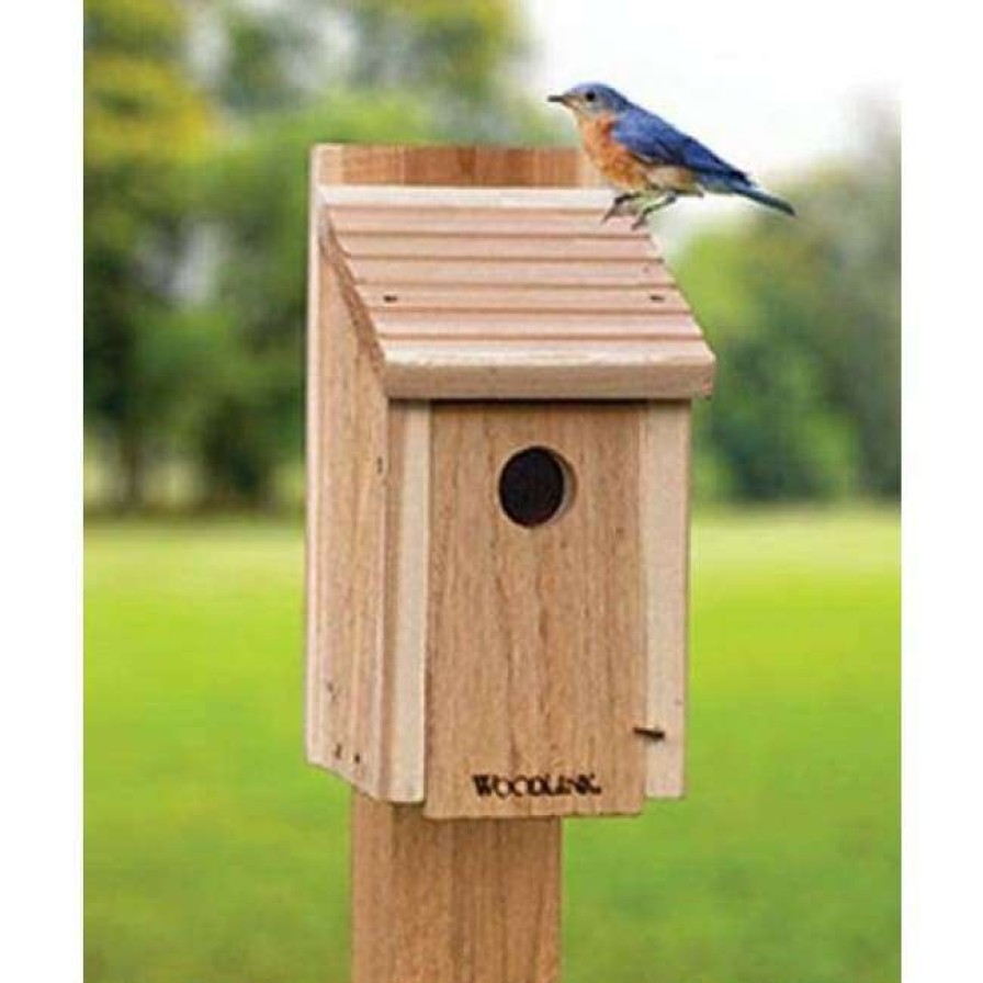 * Woodlink Post / Pole Mounted Houses Classic Bluebird House Diy Craft Kit | Bird Houses