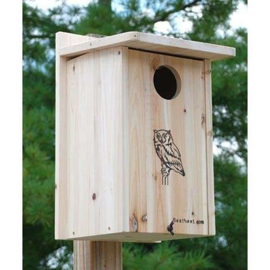 * Bestnest Premium Screech Owl House Or Kestrel House Post / Pole Mounted Houses | Bird Houses