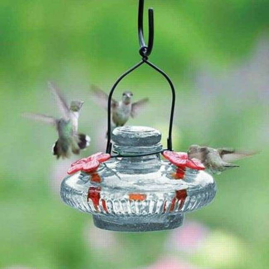 * Parasol Bloom Hummingbird Feeder, Clear | Bird Feeders