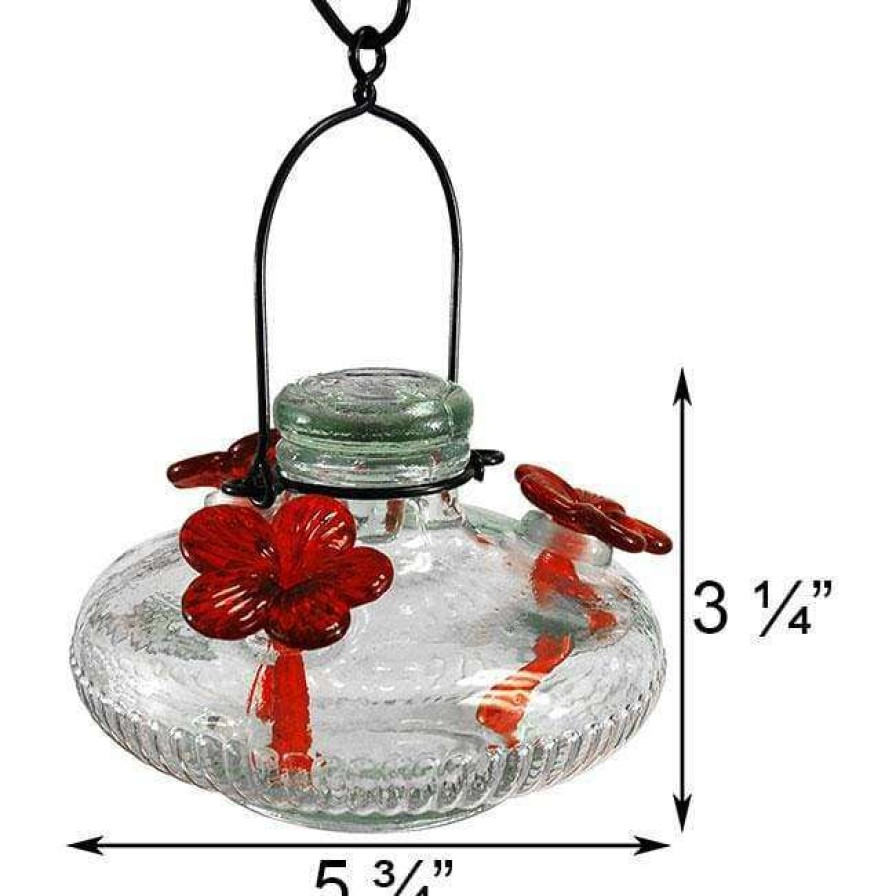 * Parasol Bloom Hummingbird Feeder, Clear | Bird Feeders