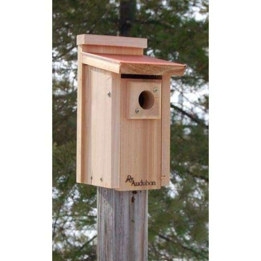 * Woodlink Audubon Coppertop Bluebird House | Bird Houses