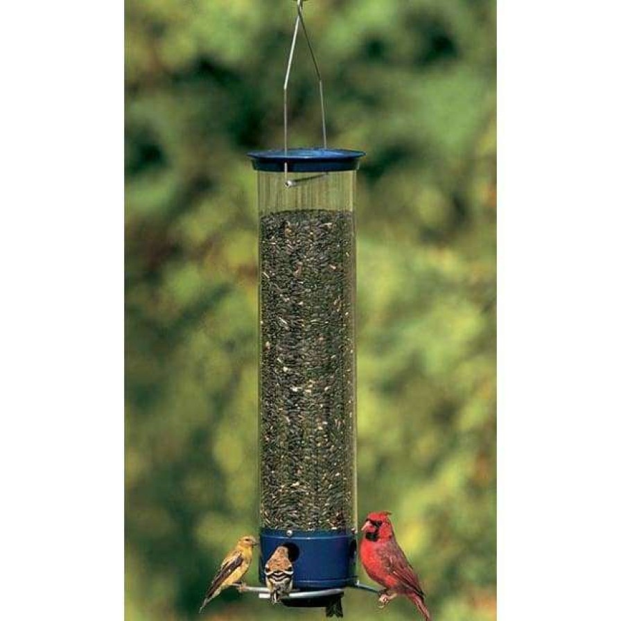 * Droll Yankees Yankee Whipper Squirrel Proof Bird Feeder Hanging Feeders | Bird Feeders