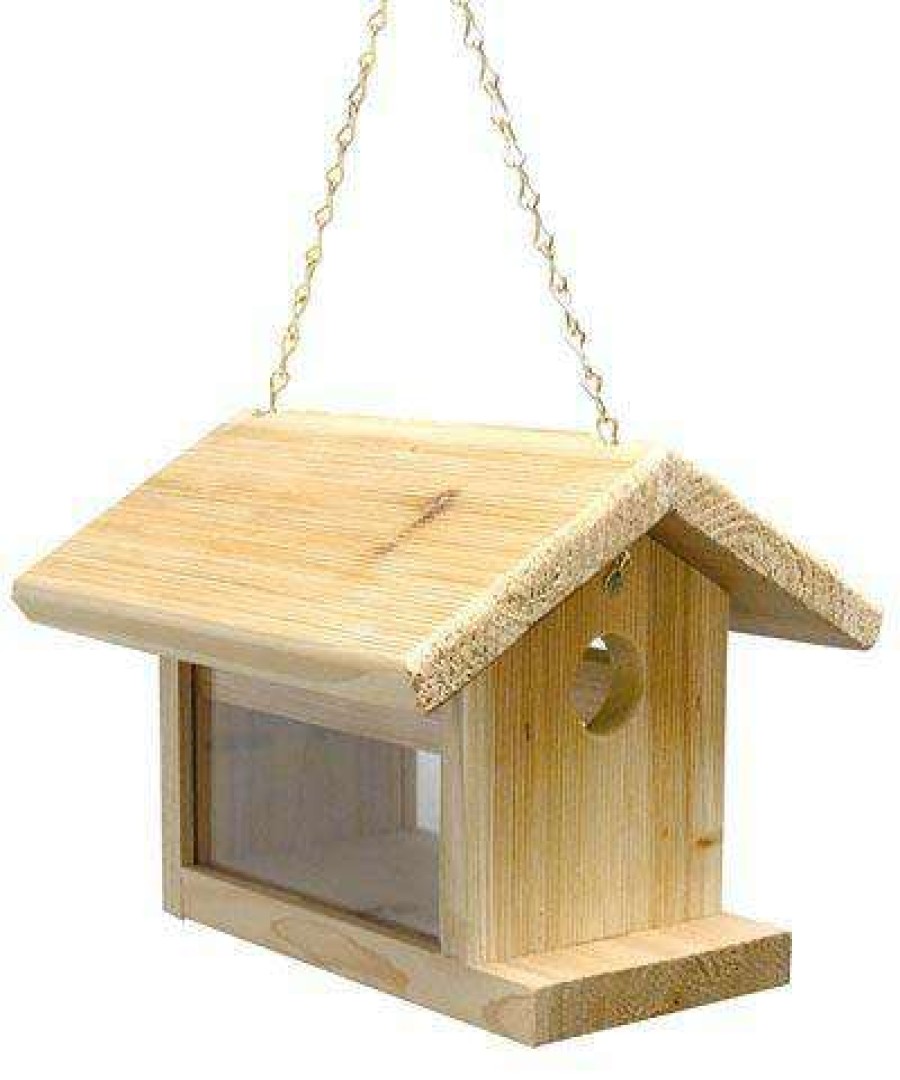 * C&S Products Hanging Feeders Bluebird Feeder By C&S | Bird Feeders