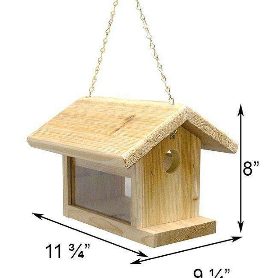 * C&S Products Hanging Feeders Bluebird Feeder By C&S | Bird Feeders