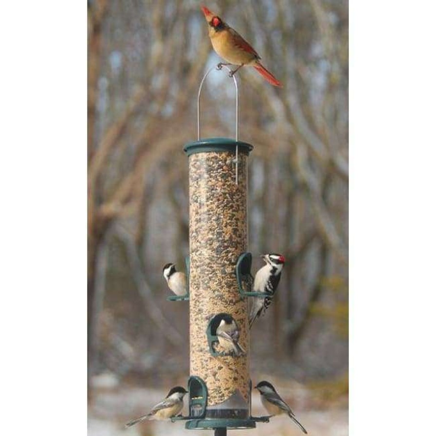 * Aspects Hanging Feeders Big Tube Spruce Wild Bird Feeder | Bird Feeders