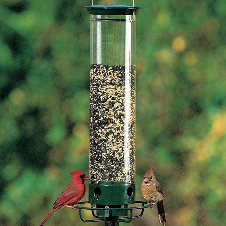 * Droll Yankees Hanging Feeders Yankee Flipper Squirrel Proof Bird Feeder | Bird Feeders