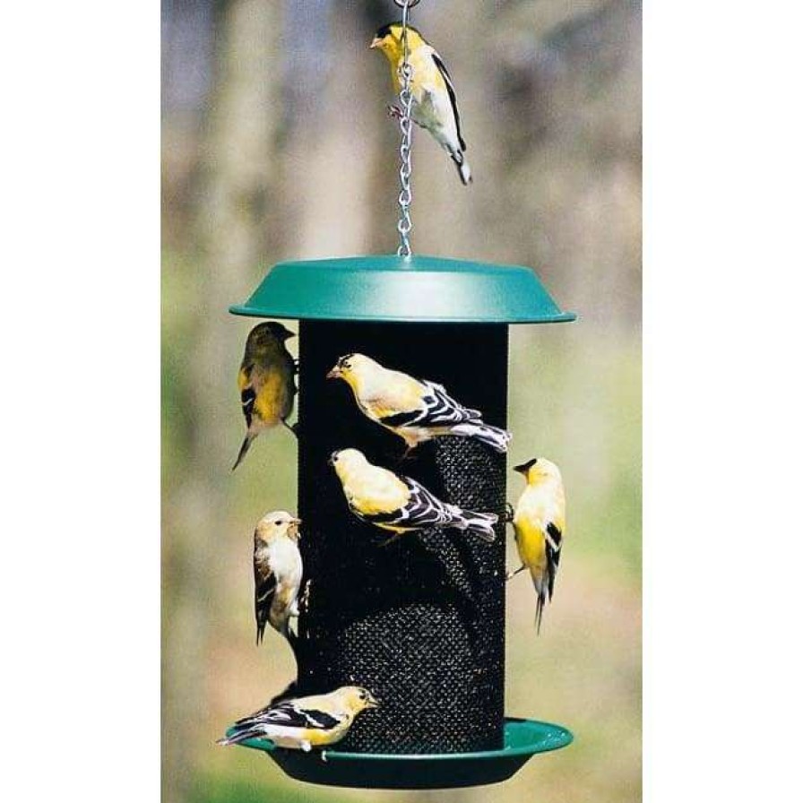 * Woodlink Magnum Thistle Seed Bird Feeder Hanging Feeders | Bird Feeders