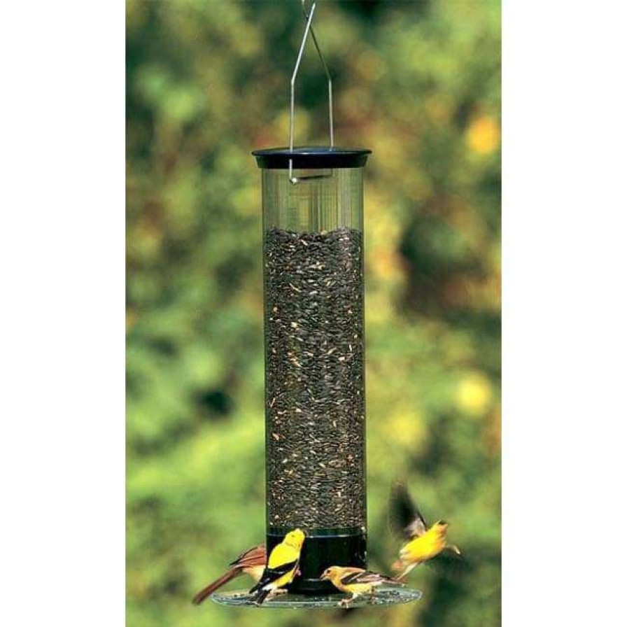 * Droll Yankees Hanging Feeders Yankee Tipper Squirrel Proof Bird Feeder | Bird Feeders