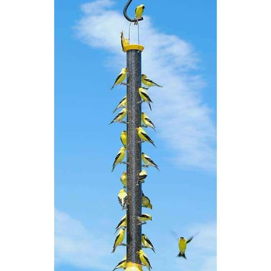 * Droll Yankees New Generation 36 Finch Flocker Bird Feeder, Yellow Hanging Feeders | Bird Feeders