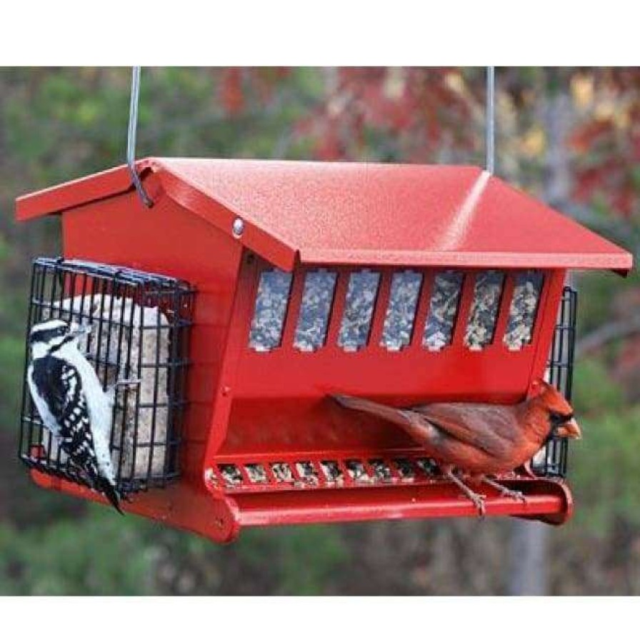 * Heritage Farms Hanging Feeders Seeds & More Double Sided Bird Feeder | Bird Feeders