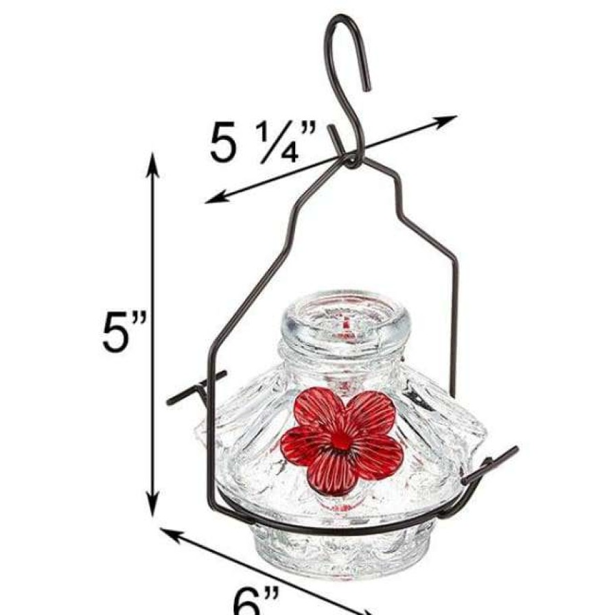 * Parasol Pot De Creme Moon And Stars Hummingbird Feeder, Clear | Bird Feeders