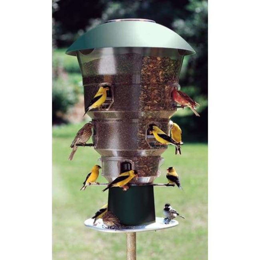 * Wild Bills Electronic Squirrel Proof 12 Port Bird Feeder | Bird Feeders