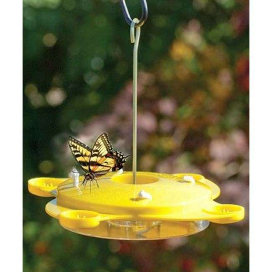 * Woodlink Butterflies Audubon Classic Butterfly Feeder | Butterflies