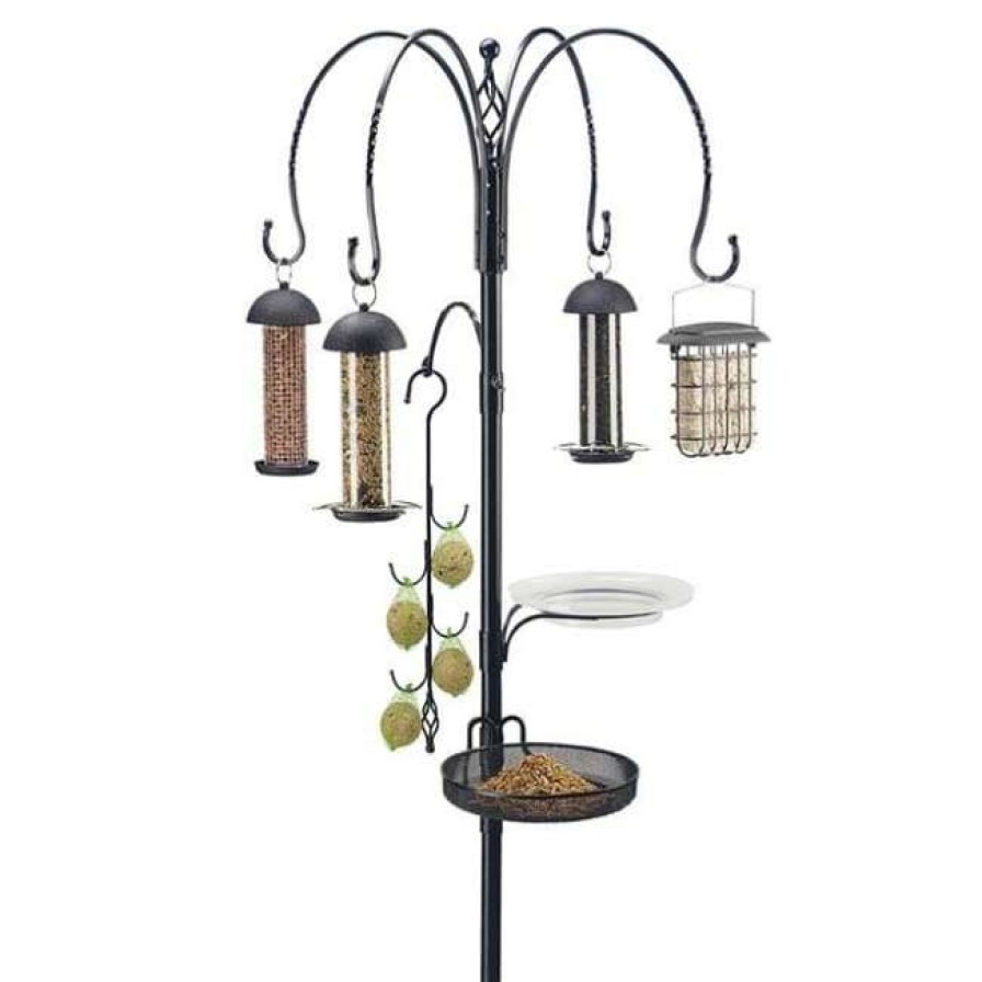 * Gardman Premium Wild Bird Feeding Station Kit Bird Feeder Accessories | Bird Feeders