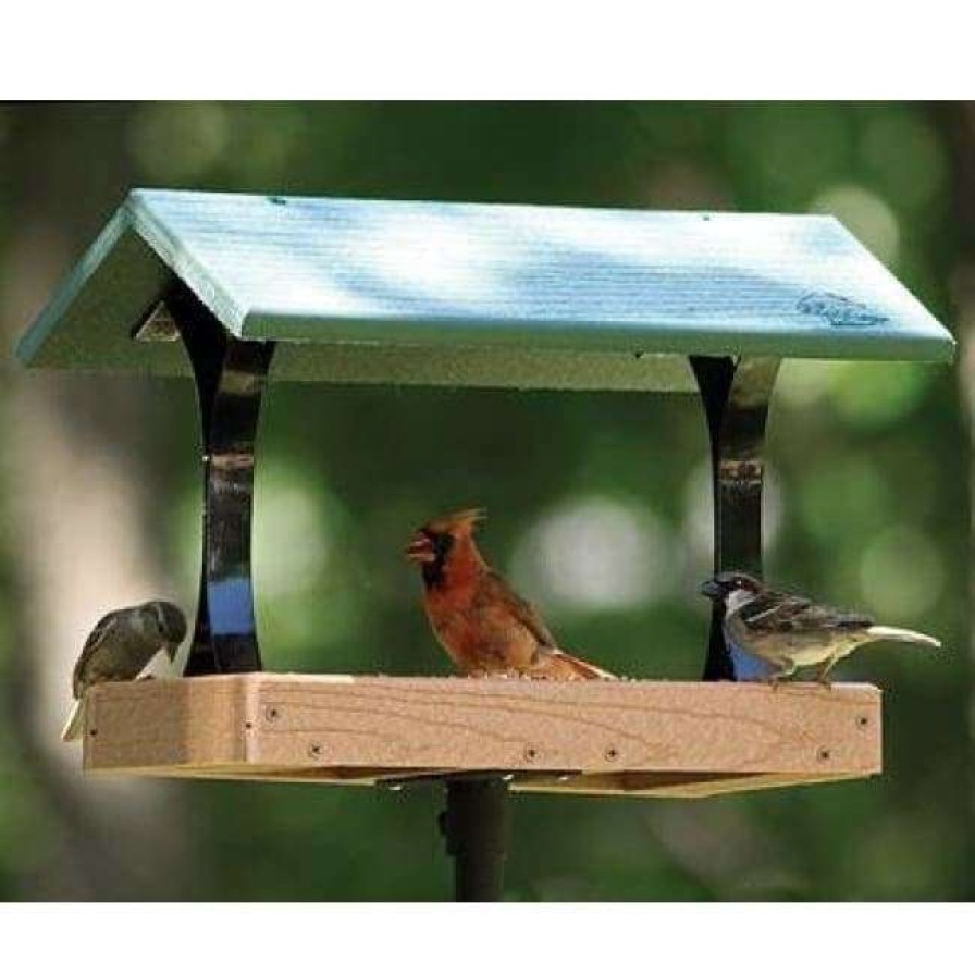 * Woodlink Going Green Fly Through Bird Feeder | Bird Feeders