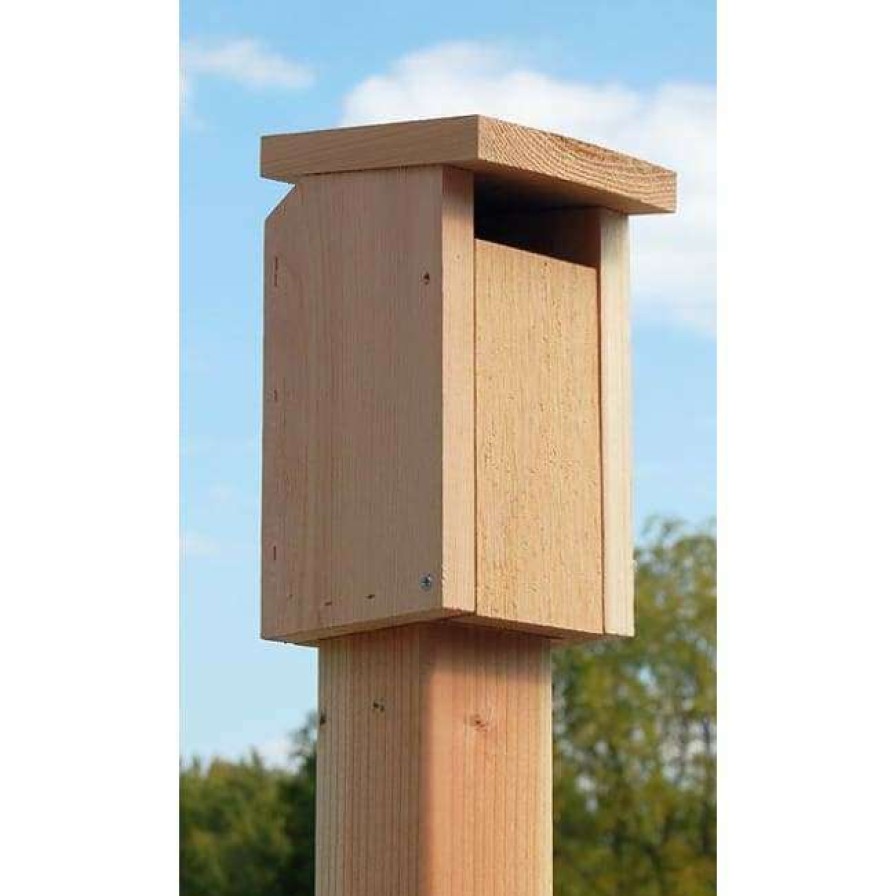 * Songbird Essentials Cedar Sparrow-Resistant Bluebird House | Bird Houses