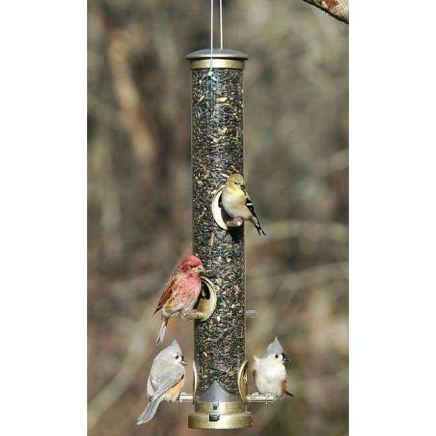 * Aspects Hanging Feeders Seed Tube Wild Bird Feeder | Bird Feeders