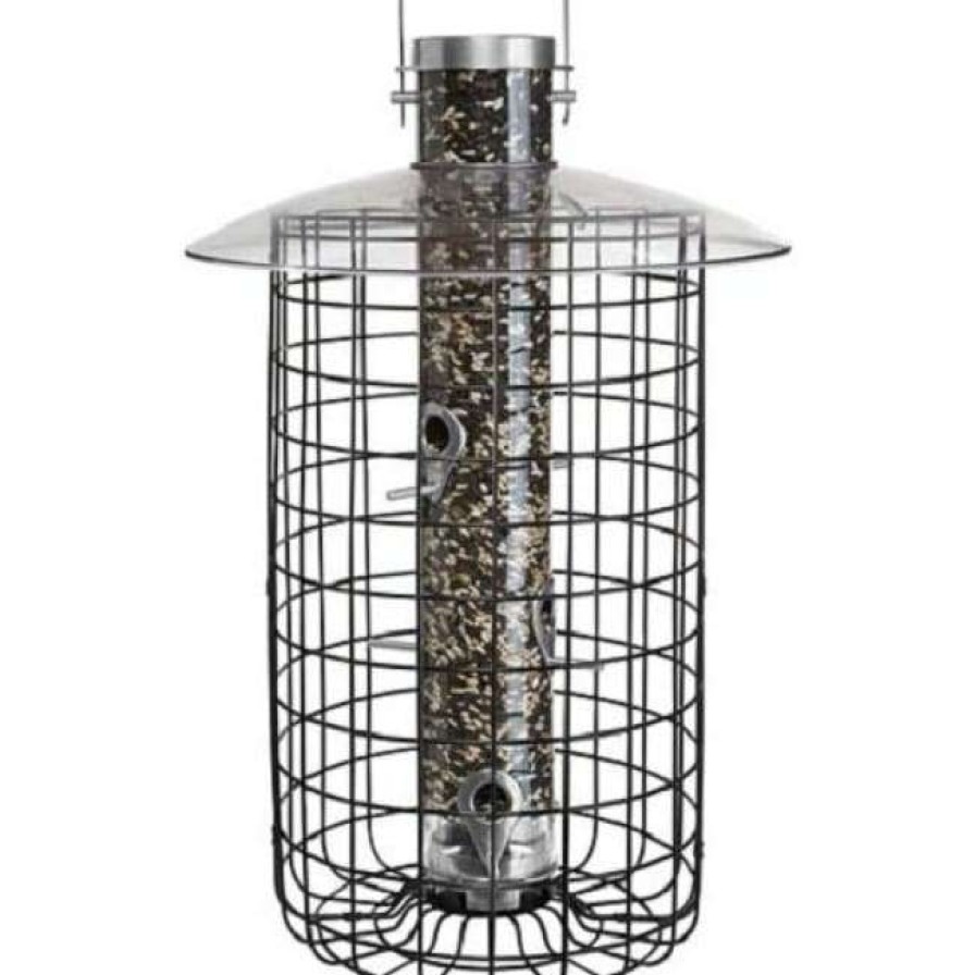 * Droll Yankees B-7 Domed Cage And Squirrel Proof Bird Feeder Cage Feeders | Bird Feeders