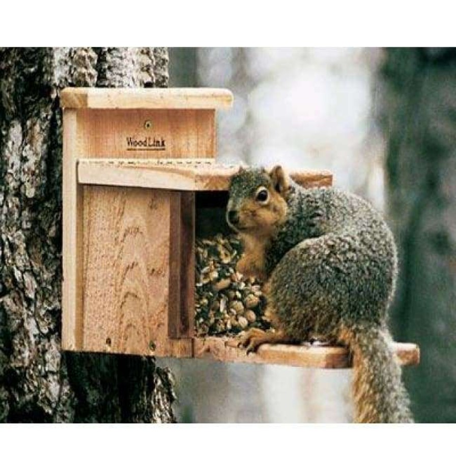 * Squirrel Feeder By Woodlink Squirrels | Squirrels