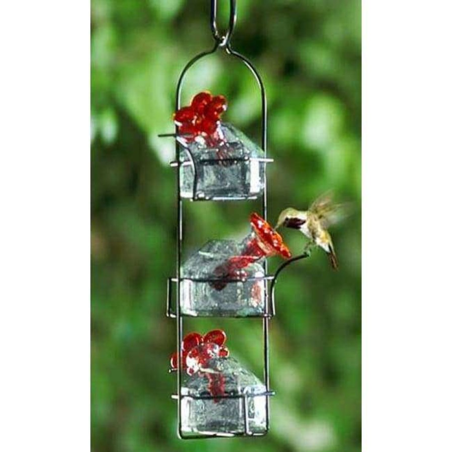 * Parasol Hummingbird Feeders Lunch Pail Clear Hummingbird Feeder | Bird Feeders