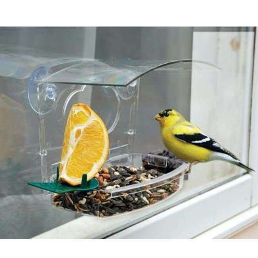 * Woodlink Audubon Mixed Treat Window Feeder Window Feeders | Bird Feeders