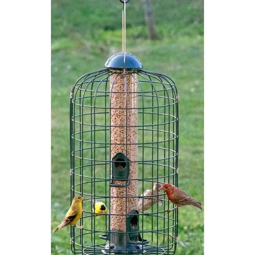 * Stokes Select Squirrel Resistant Bird Feeder Cage Feeders | Bird Feeders