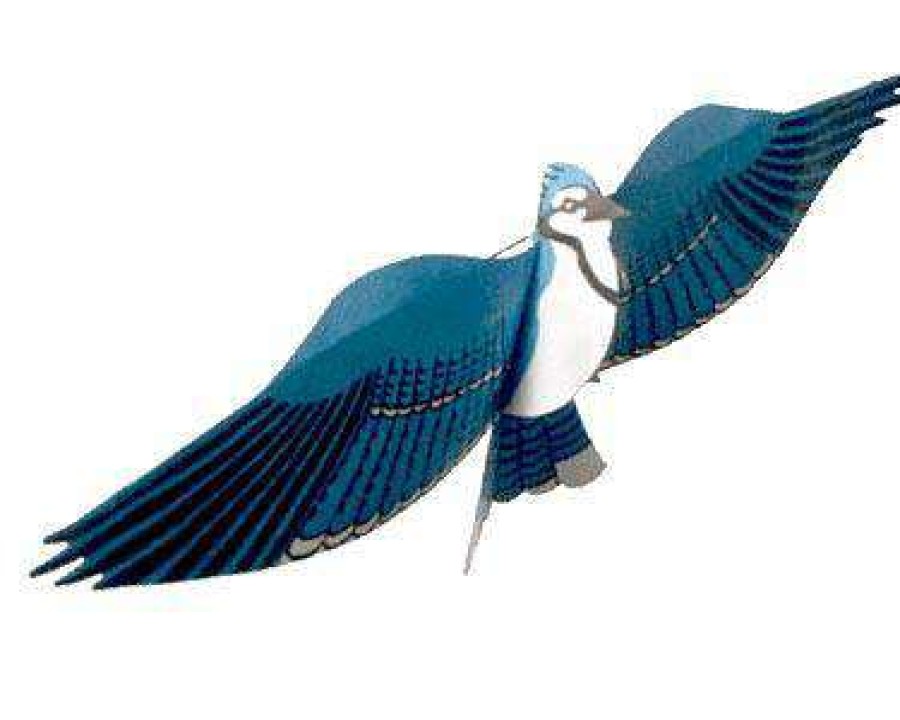 * Kites Jackite Blue Jay Kite, 28 Wingspan | Lawn & Garden