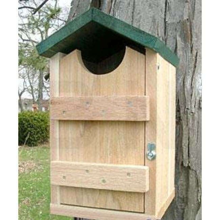 * Looker Products Screech Owl And Kestrel House | Bird Houses