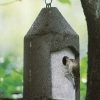 * Kinsman Schwegler Wren House Hanging Houses | Bird Houses