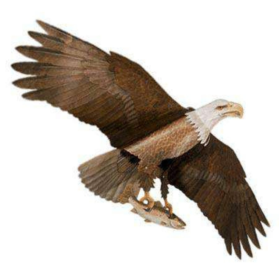 * Kites Jackite American Bald Eagle Kite, 60 Wingspan | Lawn & Garden