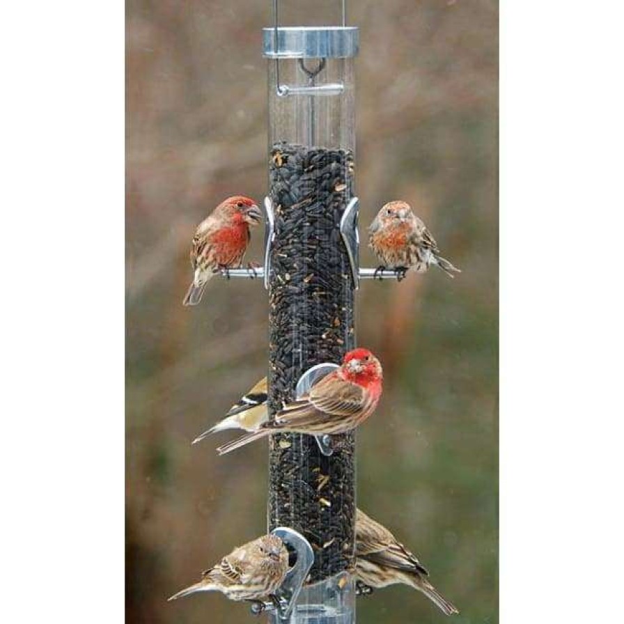 * Droll Yankees A-6 Ring Pull Bird Feeder | Bird Feeders