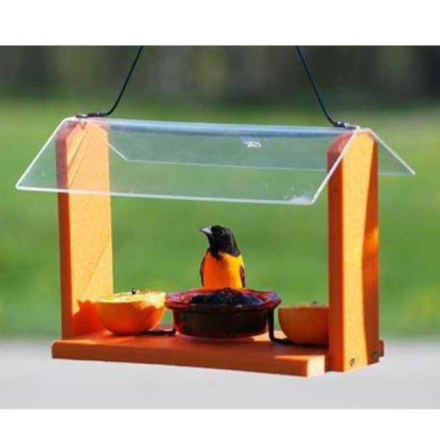 * Woodlink Hanging Feeders Audubon Recycled Plastic Oriole And Bluebird Feeder | Bird Feeders