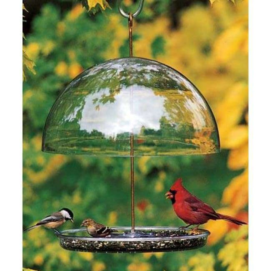 * Droll Yankees Dorothy'S Cardinal Feeder | Bird Feeders